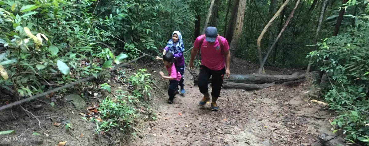 Bukit Keluang Hiking Experience in Terengganu