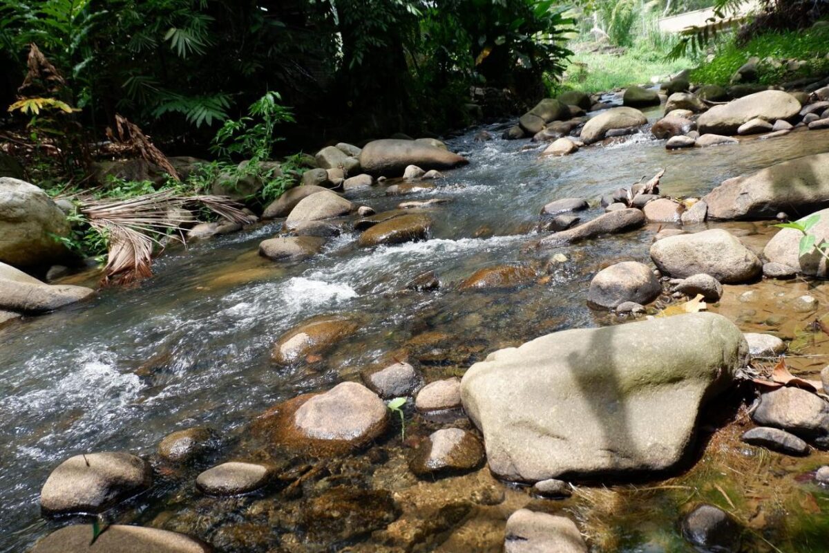 ROOM 6 @ Jungle Zen Janda Baik Campsite